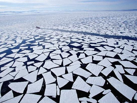 南极最大冰架断裂 南极融化后世界会成啥鬼样?