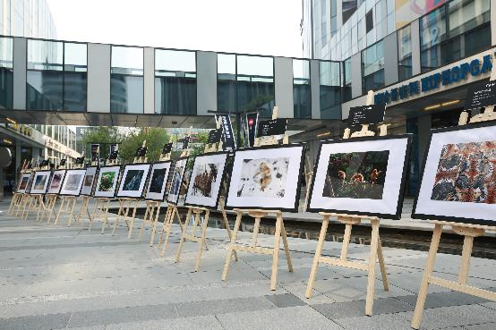 2015班夫山地电影节 户外嘉年华缤纷盛宴开享