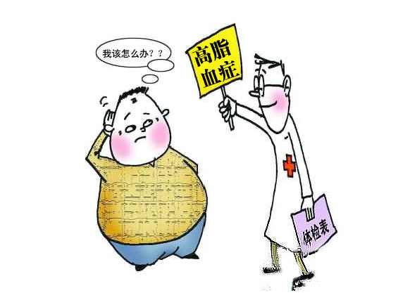 高血脂的治疗与饮食指南