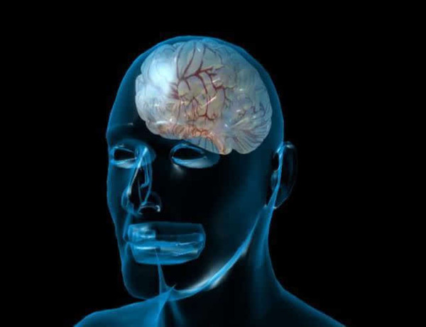 当一个人大脑里或者脑干没有任何神经活动时——这意味着脑细胞之间没