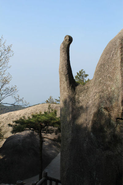 天柱山象鼻石图片