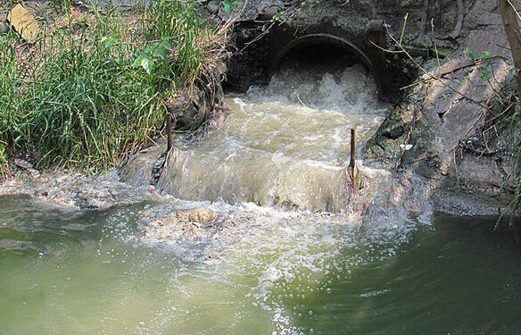 侧河边有一口径约40厘米的铁管排污口,污水正是从这处排污口哗哗流淌