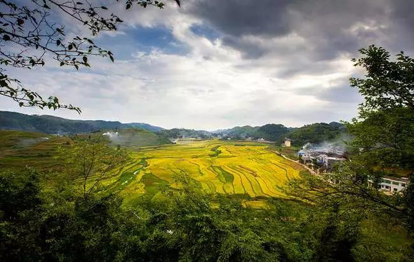 中國歷史文化名城遵義,轄25個鎮2個民族鄉,除有烏江渡(偏巖河)景區