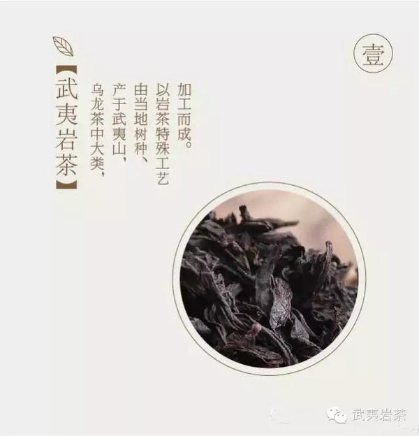 8張圖教你入門武夷巖茶