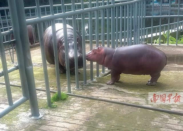 國內新聞|南寧動物園