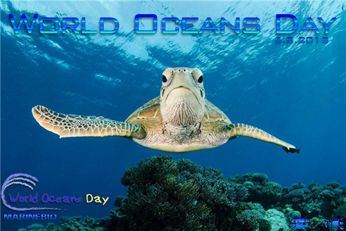 8 june 2015 2015年6月8日 oceans are an essential component of