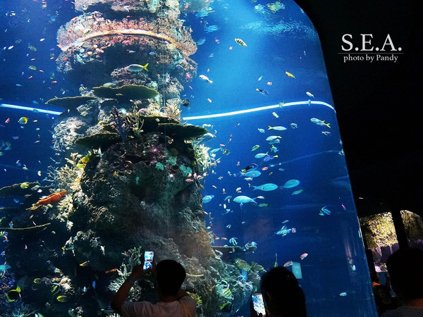 新加坡海底酒店图片