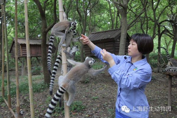 飼養員也瘋狂養什麼就像什麼