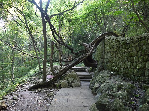 一段山路结束,那边的盘山公路不是今天要走的路.