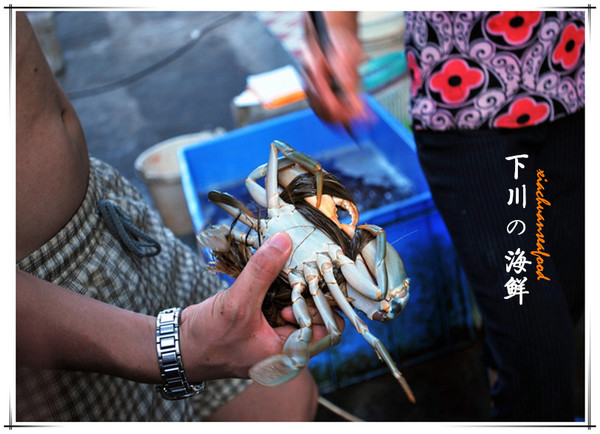 到下川岛一定要吃海鲜!特别是下川的肥蚝,螃蟹