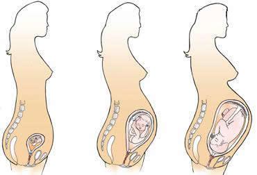 怀孕后乳房变化过程图片