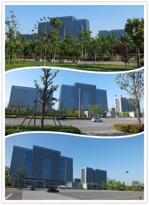 沛县县政府大楼照片图片