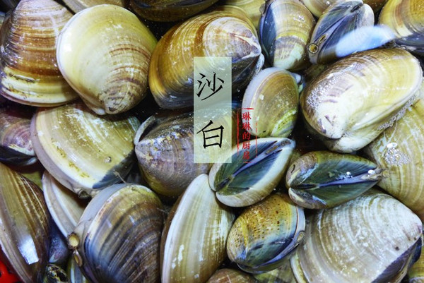 三角形的小贝壳,表面光滑.类似沙白,但个头小许多.蒸,焖,煮,炖,百搭.