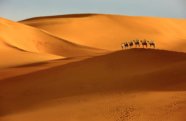 阿图姆沙漠图片