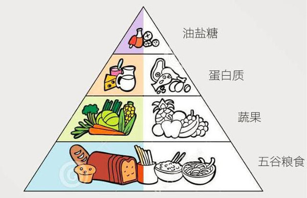 食物金字塔图片简笔画图片