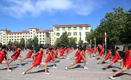 北京少林武术学校(北京少林武校招生学费多少)