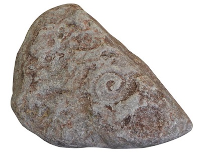 海螺化石价格赏析
