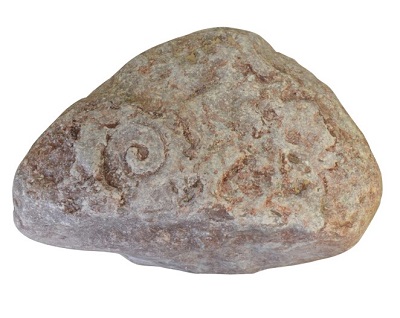 海螺化石价格赏析