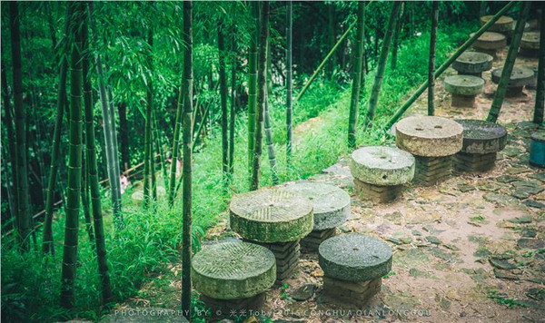 生态餐饮休息区:竹林下休息,吃了水果喝着山泉水,盛夏消暑佳地.