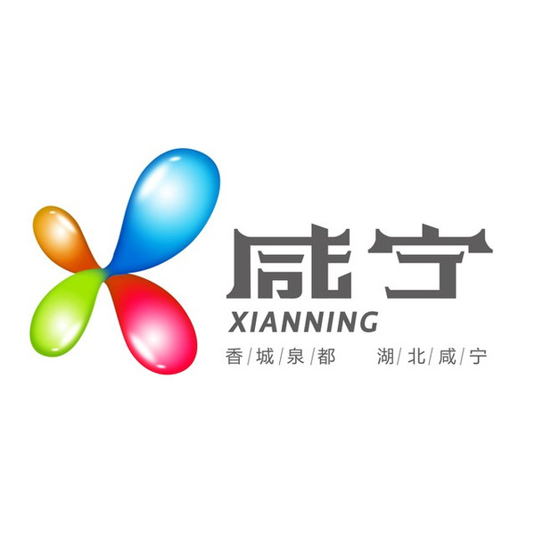 咸宁网站建设品牌大全推荐_(咸宁网站建设有哪些)