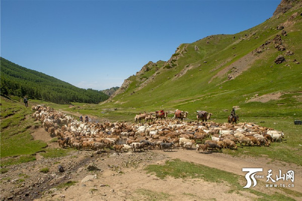 莫钦乌拉山北麓蓝旗沟内蔚为壮观的转场画面.