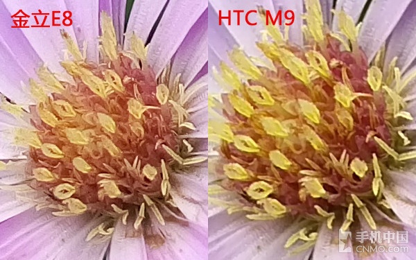 金立E8和HTC M9拍照对比：究竟谁更好？ 