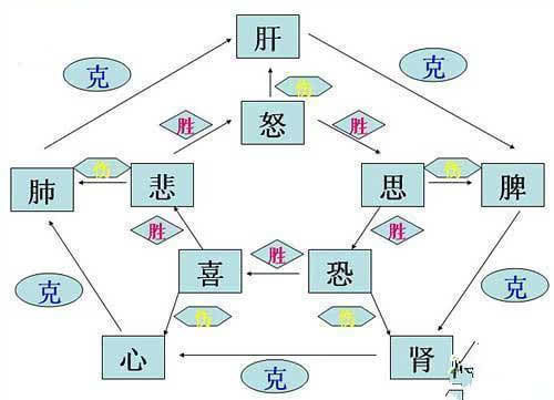 人类七情对生理功能有什么影响?