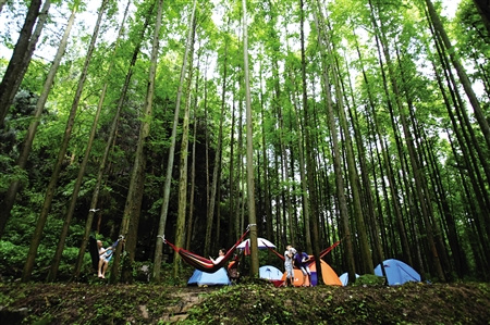 南川山王坪生态石林景区