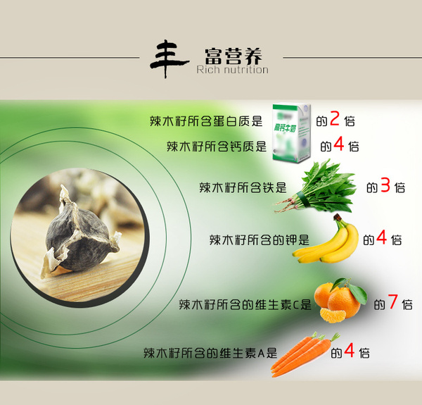 辣木籽介绍及部分用法