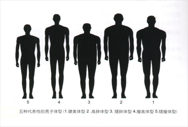 五种常见人体体型图片