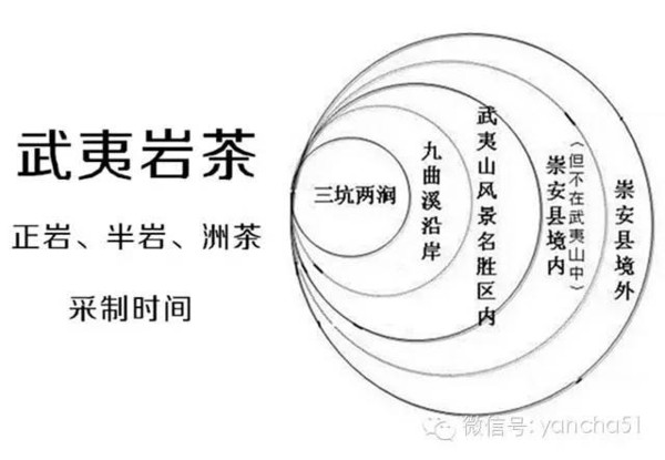 目前最全的武夷岩茶正岩半岩洲茶采制时间表