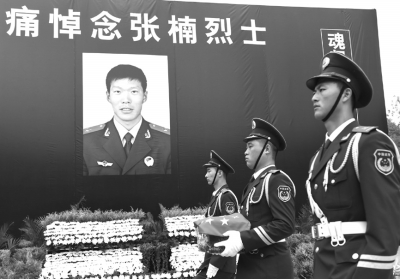 中国武警张楠图片