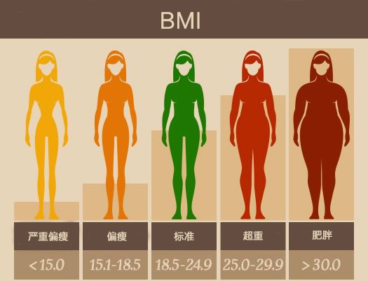 人体体型分类对照表图片