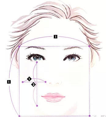 面部黄金比例(面部黄金比例0618)-第1张图片-鲸幼网