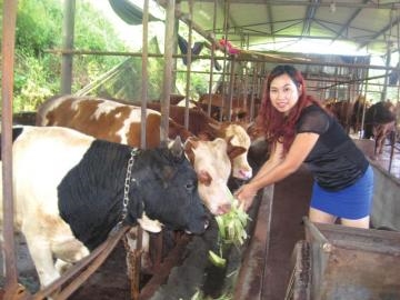 【图】美女老板转型当"牛倌 生态养殖肉牛年赚30万(图)