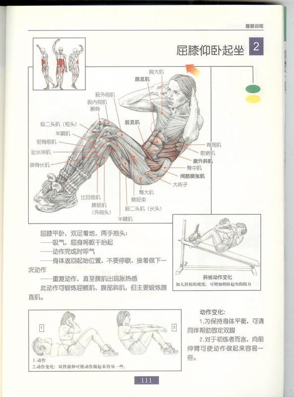 練腹肌的你必收健身方案腹部篇