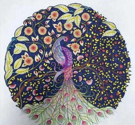 秘密花园涂色手残党与大神作品pk