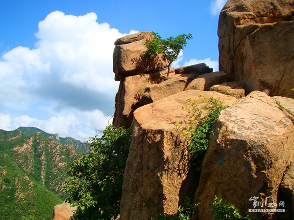 美麗的遼寧北票大黑山國家森林公園