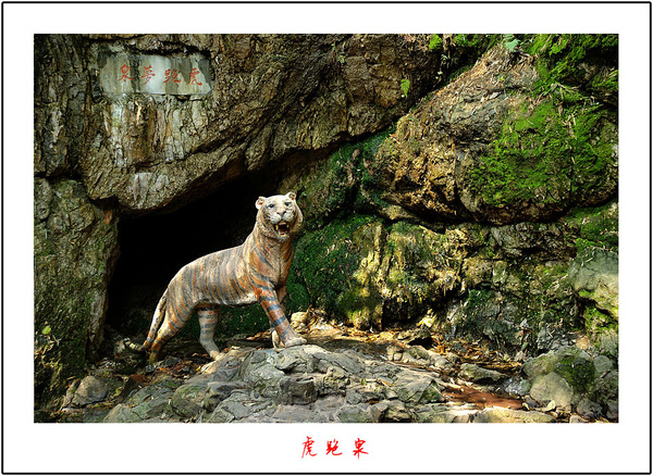 龙井茶与虎跑泉虎跑泉来历