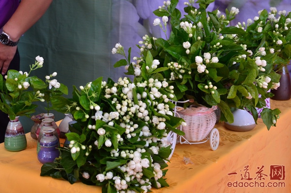 中国茉莉花茶交易会茉莉花文化节开幕