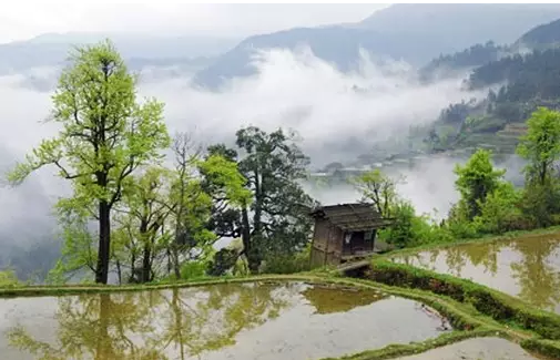 綠樹村邊合,青山郭外斜.(山間苗寨)