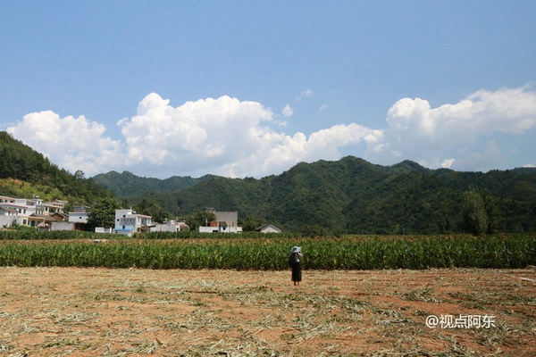 商南县清油河镇后湾村乡村游—后湾旅游网 新闻资讯[搜狐旅游]走进