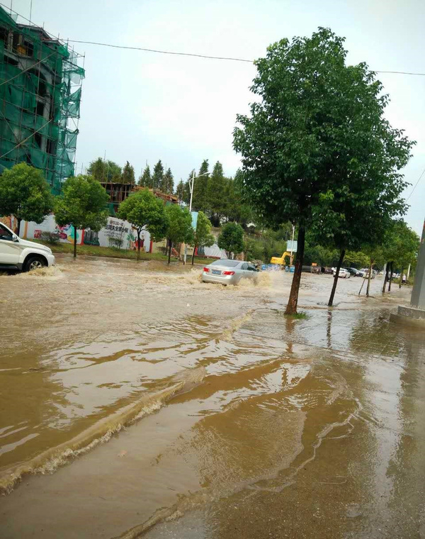 信阳洪涝灾害图片