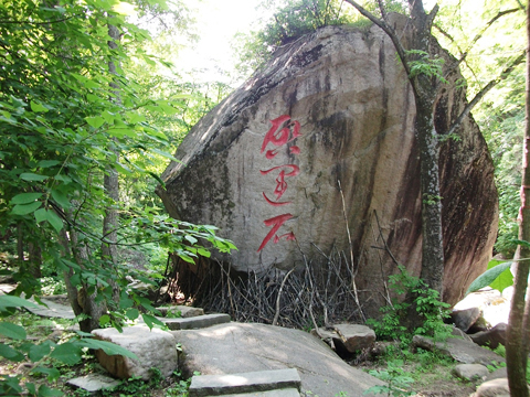 抚顺猴石森林公园一日游,沈阳到抚顺猴石旅游团