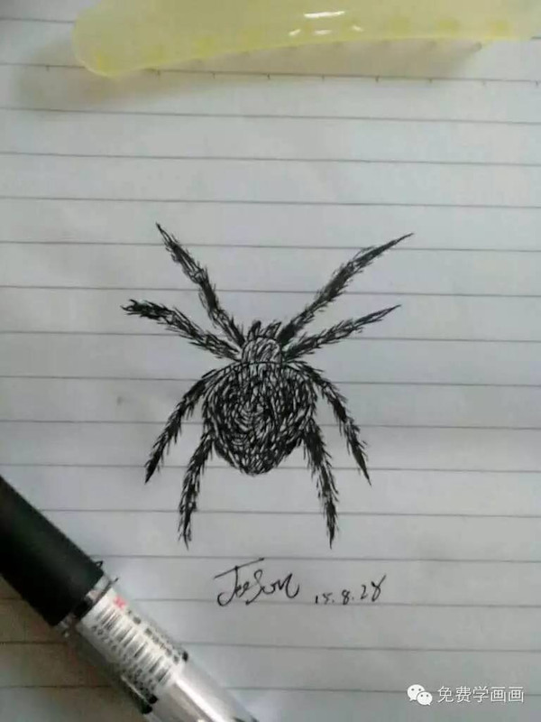 我画的蜘蛛像不像真的呢你也来试试