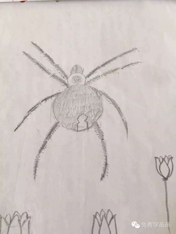 作业点评我画的蜘蛛像不像你也试试