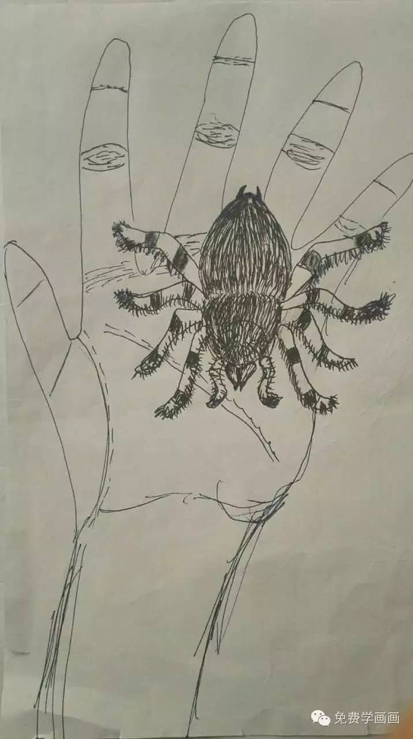 作业点评3我画的蜘蛛你也来试试