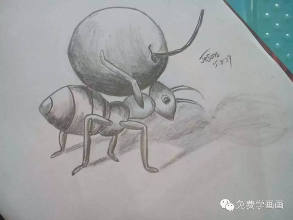 作业点评3看我画的蚂蚁是不是很逼真呢