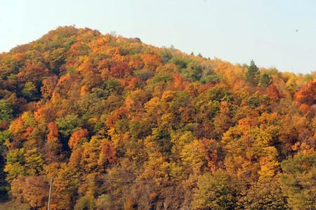 香爐山風景區坐落在賓縣境內,張廣才嶺的餘脈,距哈爾濱市80公里,佔地