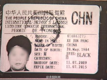 中国国际驾照样本图片图片
